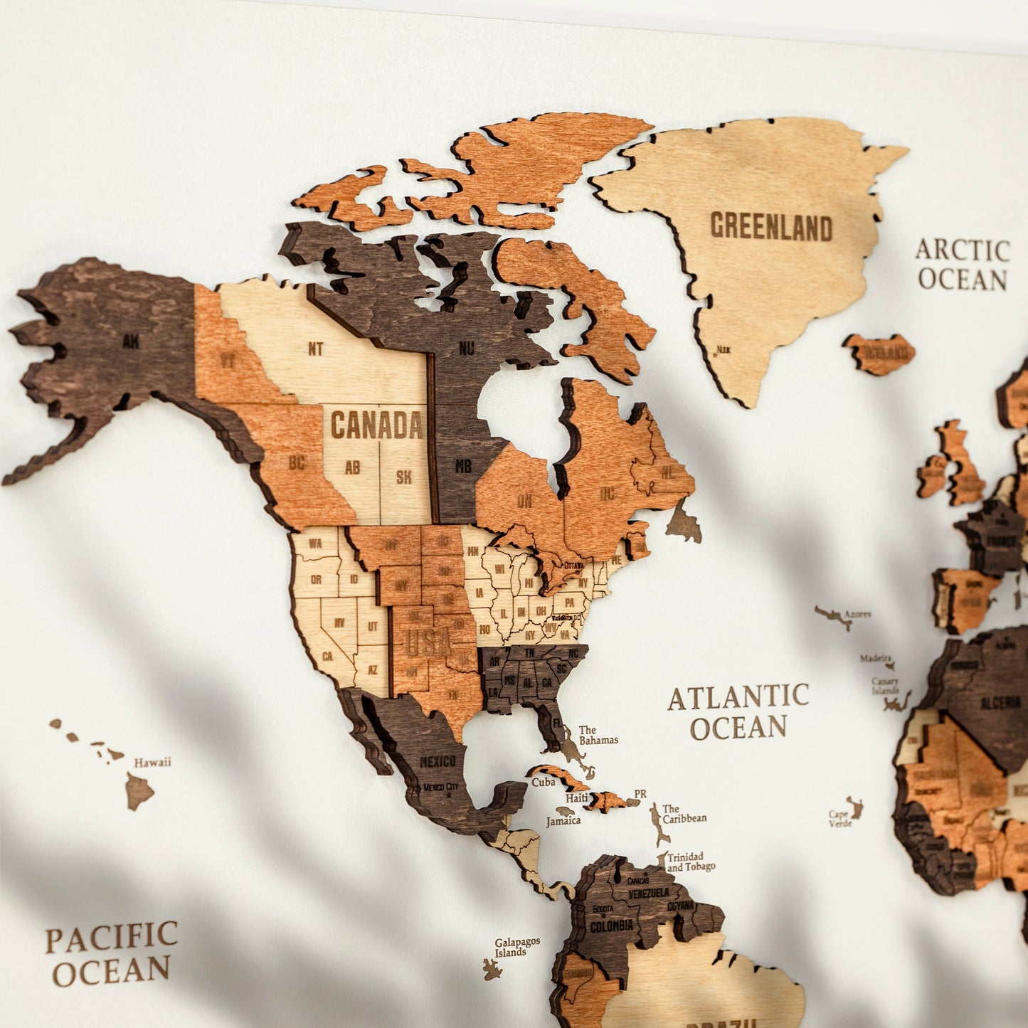 3D Wooden World Map - White